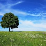 Wort zur Woche vom 19.04.2021 – So beginnen Wunder