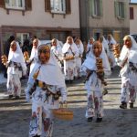 Wort zur Woche vom 17.02.2020 – Zum Verlust vom Narrabaum