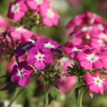 Wort zur Woche vom 16.03.2020 – Nein, es ist nicht alles abgesagt!