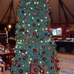 Wort zur Woche vom 07.12.2020 – Absolut stabil