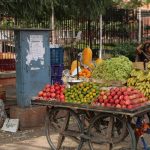 Wort zur Woche vom 20.09.2021 – So groß wie ein Fußball
