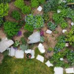 Wort zur Woche vom 06.06.2022 – Am 13. Juni ist Tag des Gartens